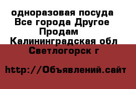 одноразовая посуда - Все города Другое » Продам   . Калининградская обл.,Светлогорск г.